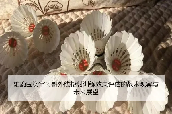 雄鹿围绕字母哥外线投射训练效果评估的战术观察与未来展望