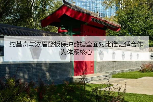 约基奇与浓眉篮板保护数据全面对比谁更适合作为体系核心